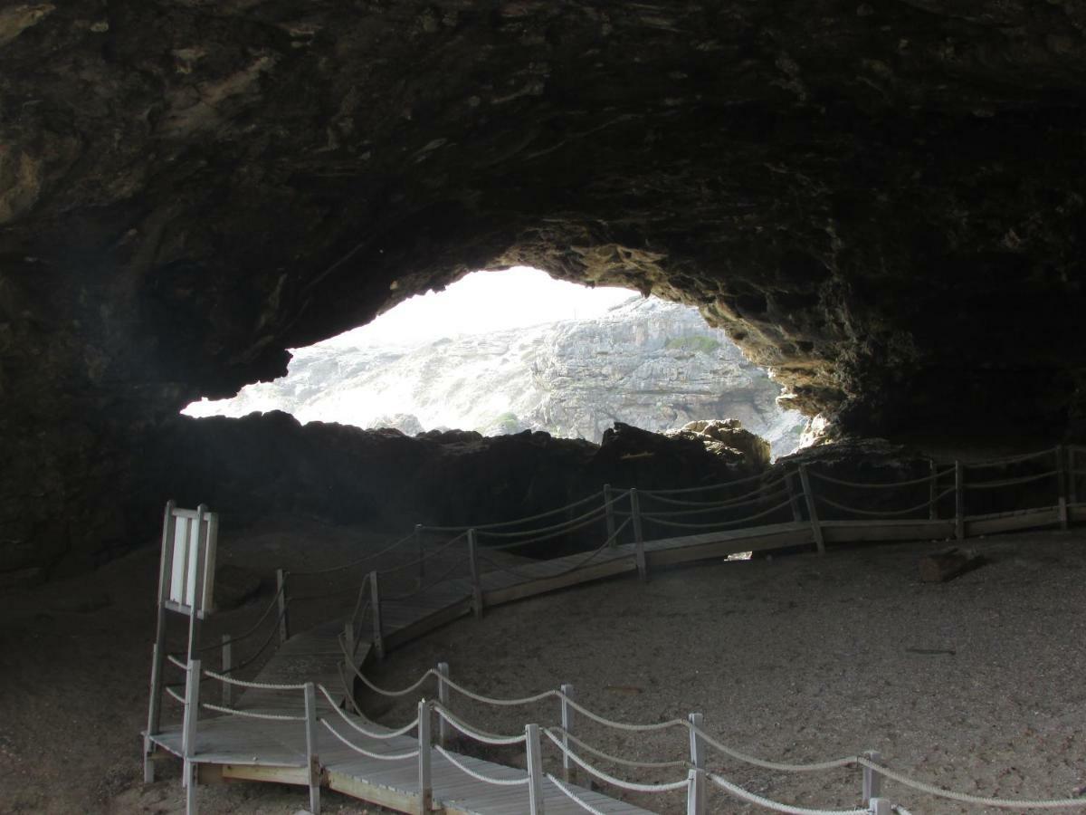 דה קלדרס Whale Watch Accommodation מראה חיצוני תמונה